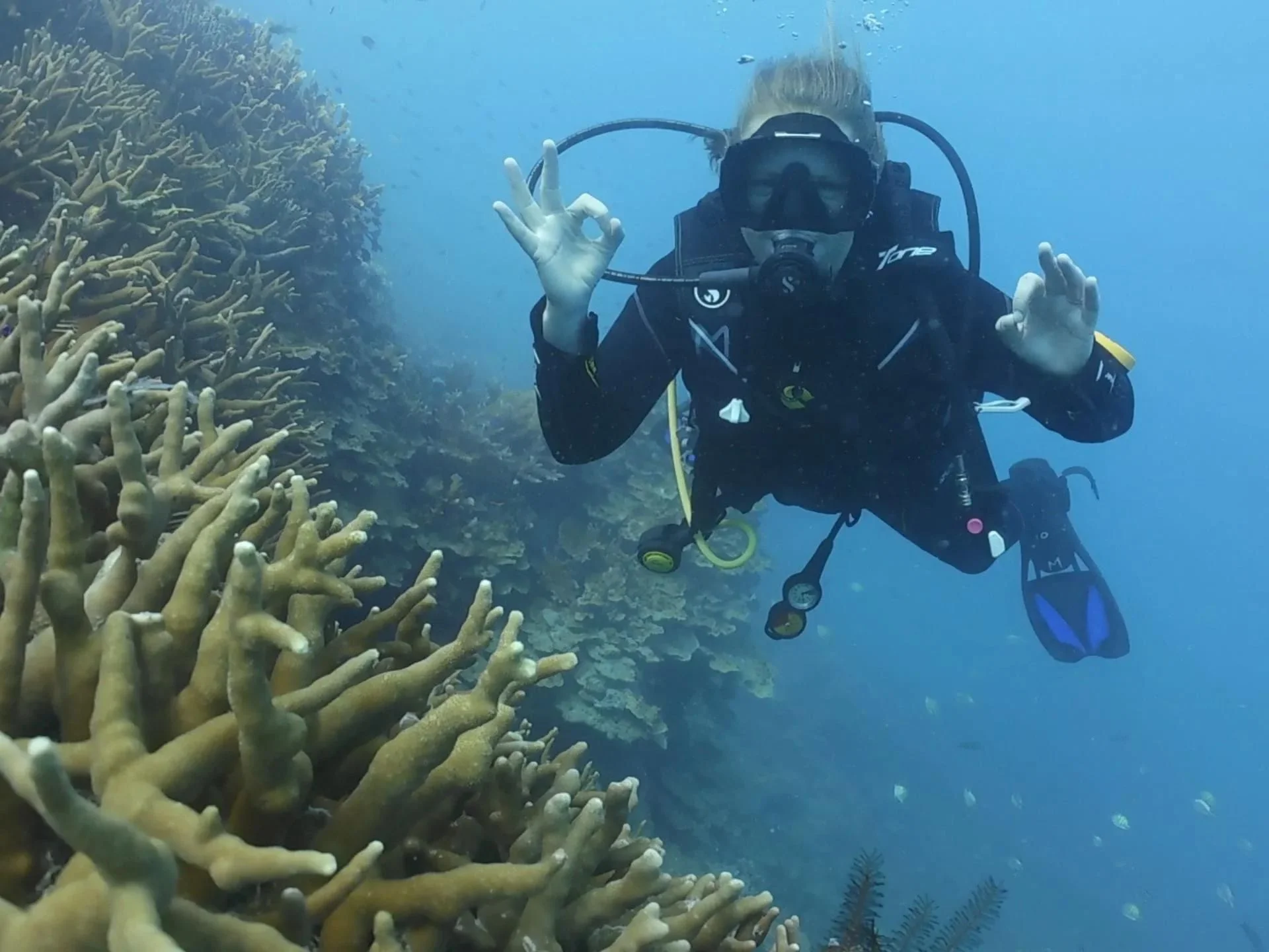 PADI Fun Dive